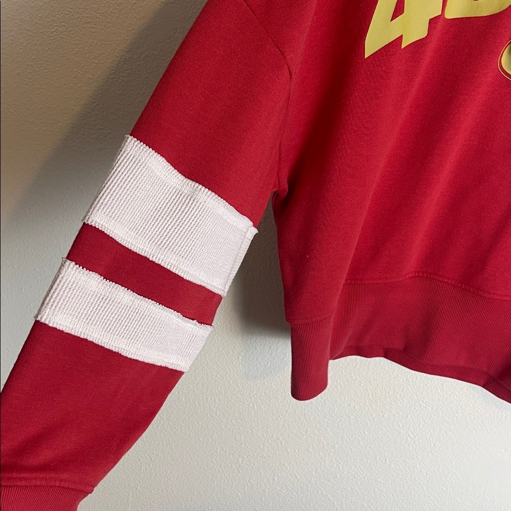 Junk Food X NFL Sideline Stripe fleece 49ers hoodie XL - Picture 4 of 8